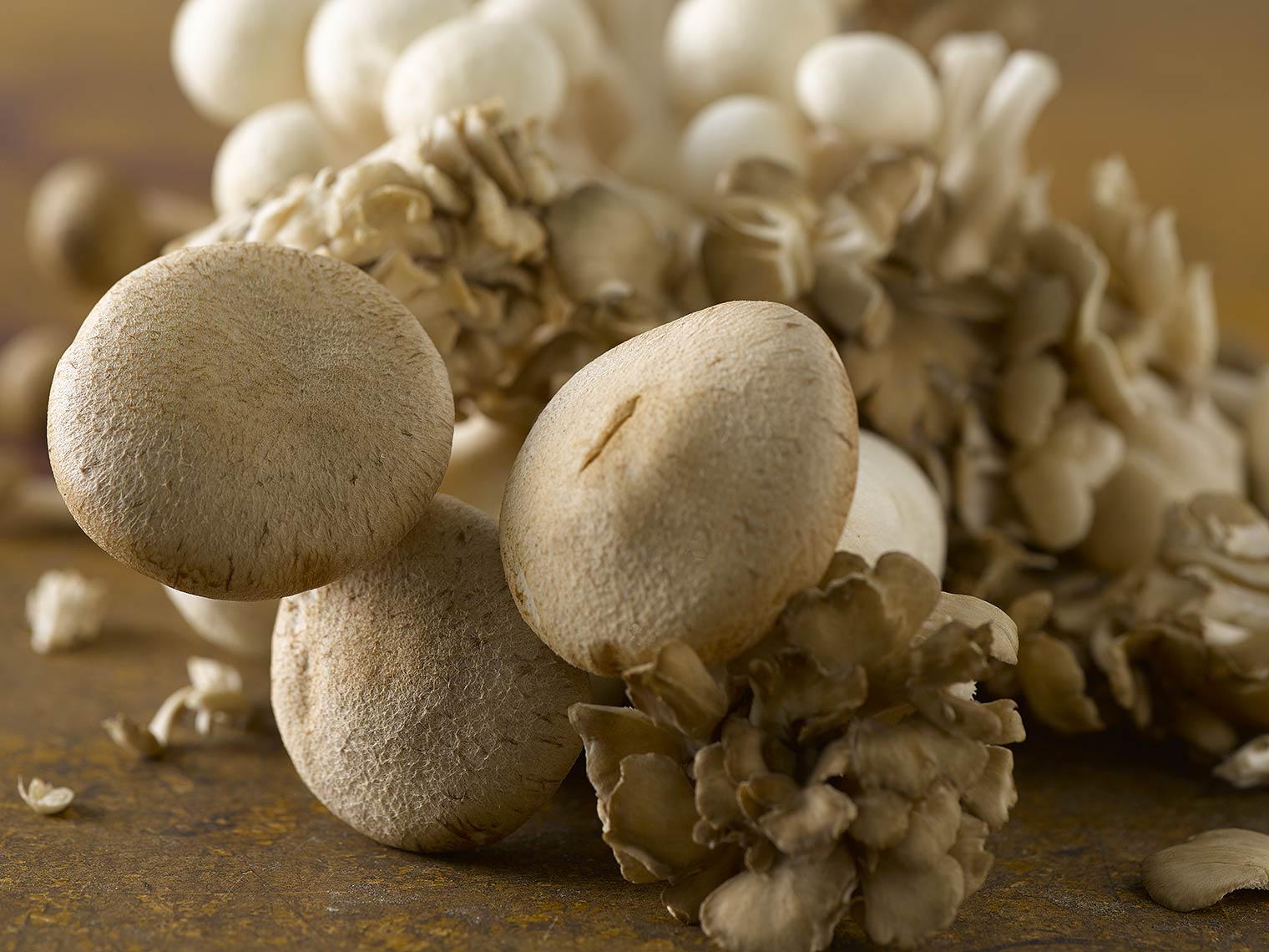 tauras_bublys_mushrooms_gourmet