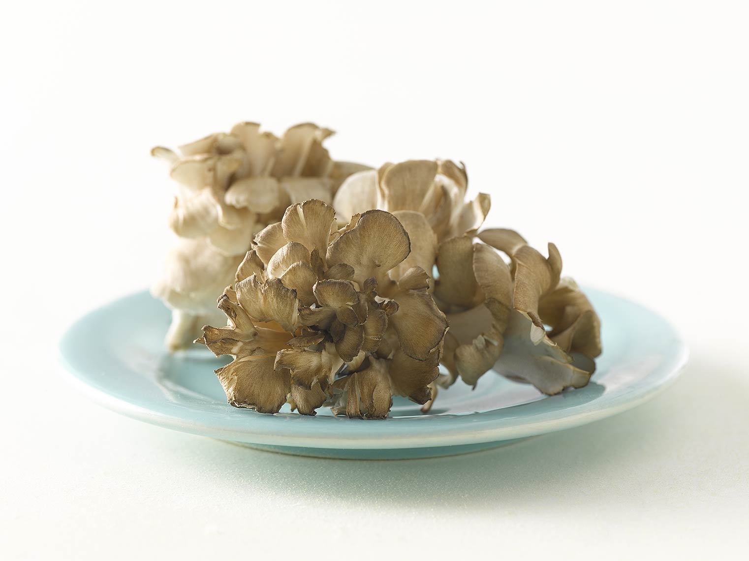 tauras_bublys_mushrooms_plate